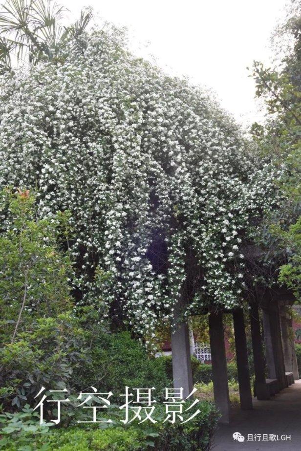 22×43+22×32-75×12的简便算式？游戏画面